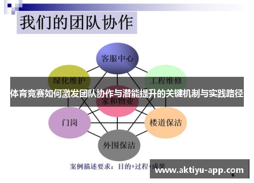 体育竞赛如何激发团队协作与潜能提升的关键机制与实践路径